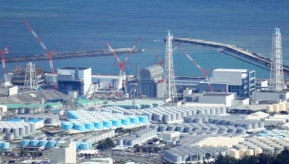 日本核废水入海，恐致癌损害人类DNA