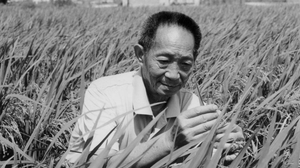 默哀！5月22日13时07分，袁隆平逝世