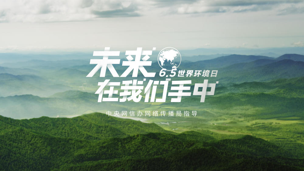 世界环境日——未来，在我们手中