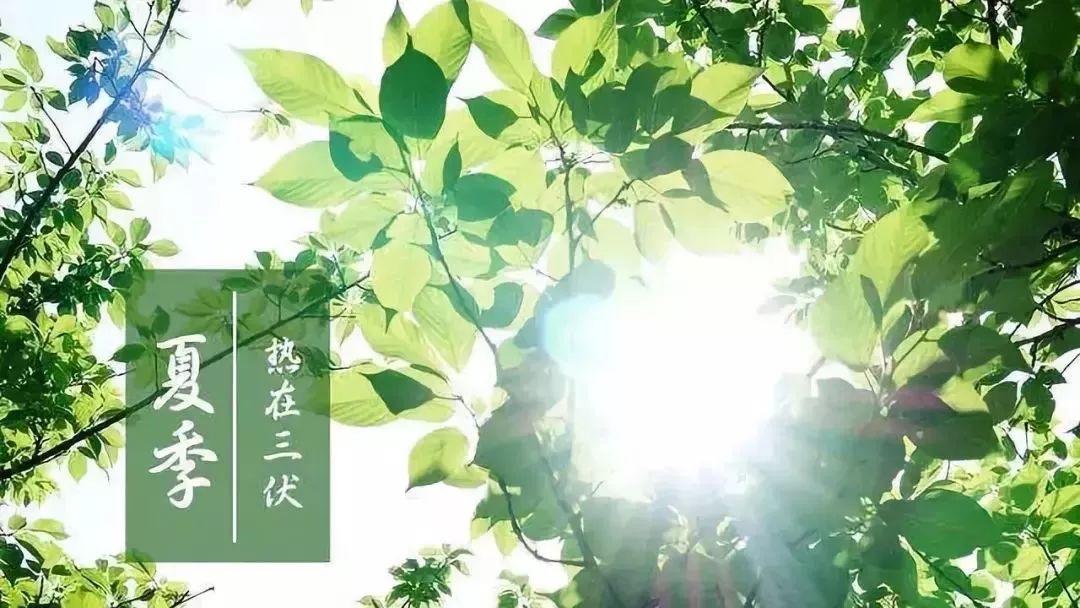 三伏来临，你准备好怎么过了吗？	