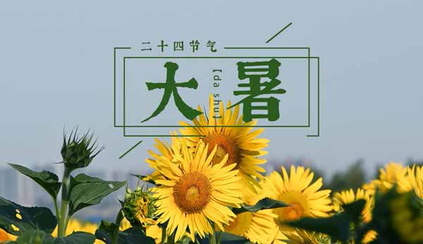 今日大暑