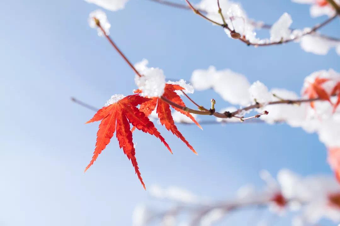立冬节气